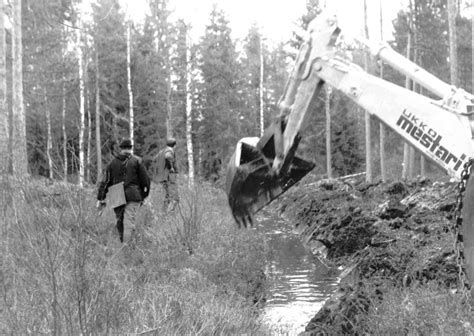  Jasiin: Kenenäijän Syntyjäinen Kaivuri ja Meriveden Mestari!