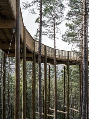  Puumarderat: Hämärän metsäasukkaiden salaperäinen elintapa!